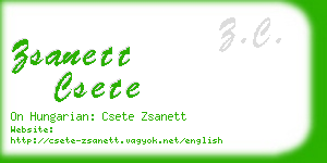 zsanett csete business card